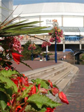 national-indoor-arena