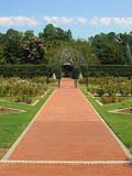 birmingham-botanical-gardens-