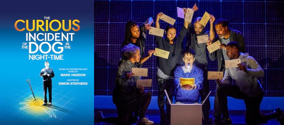The Curious Incident of the Dog in the Night-Time at Birmingham Hippodrome